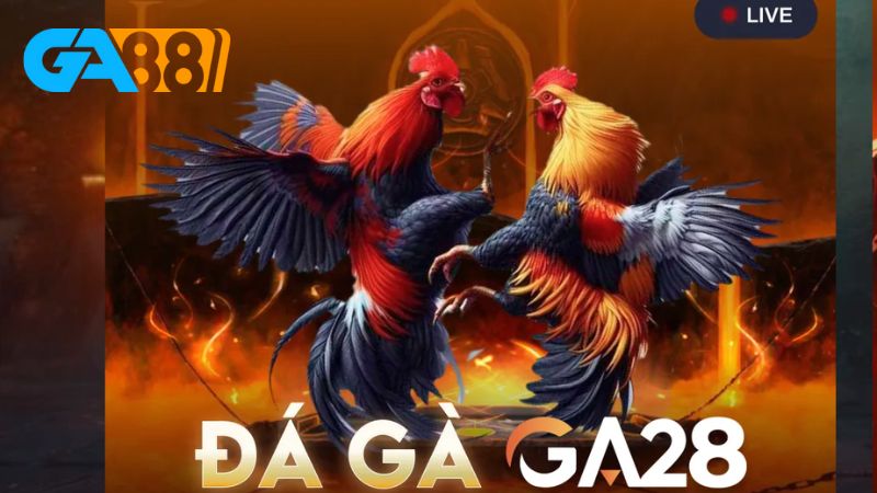 Cách đặt cược đá gà Lixi88 rất đơn giản